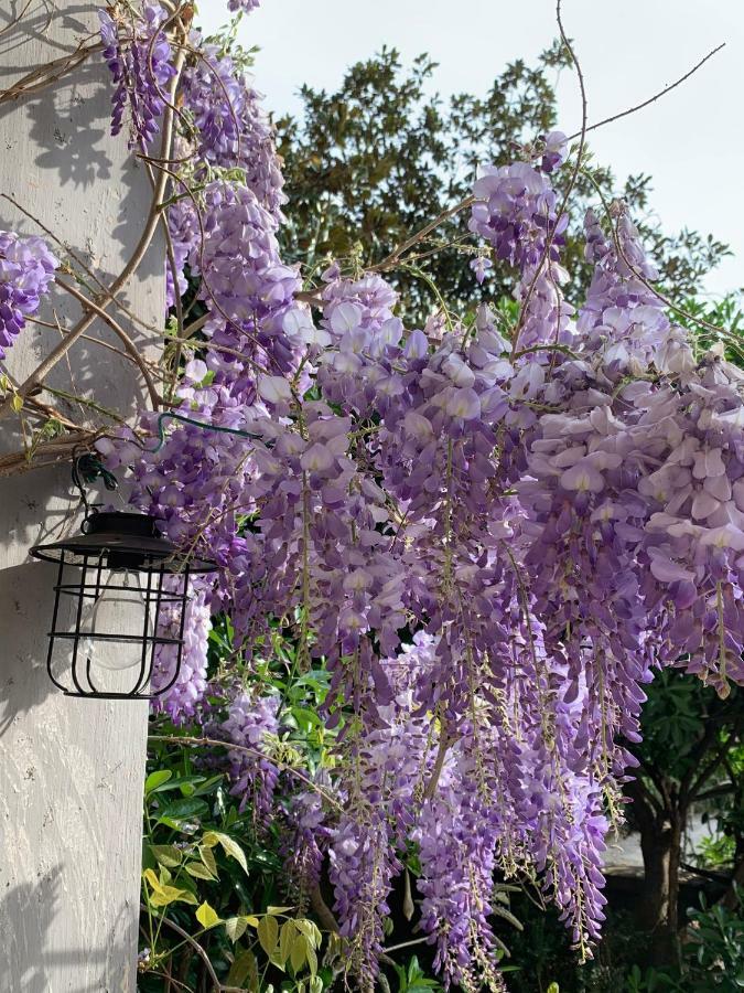 Castello Della Bastia Hotel Balocco Екстериор снимка